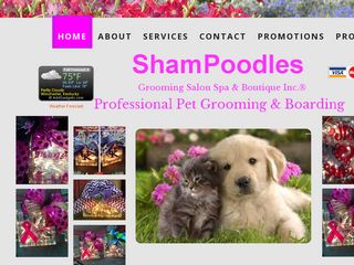 Shampoodles Pet Grooming and Boarding | Boarding