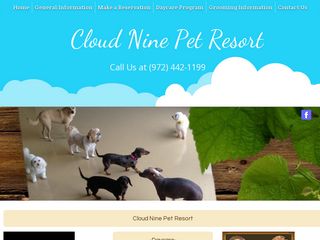 Cloud Nine Pet Resort | Boarding