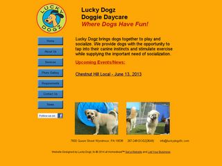 Lucky Dogz Doggie Daycare Wyndmoor